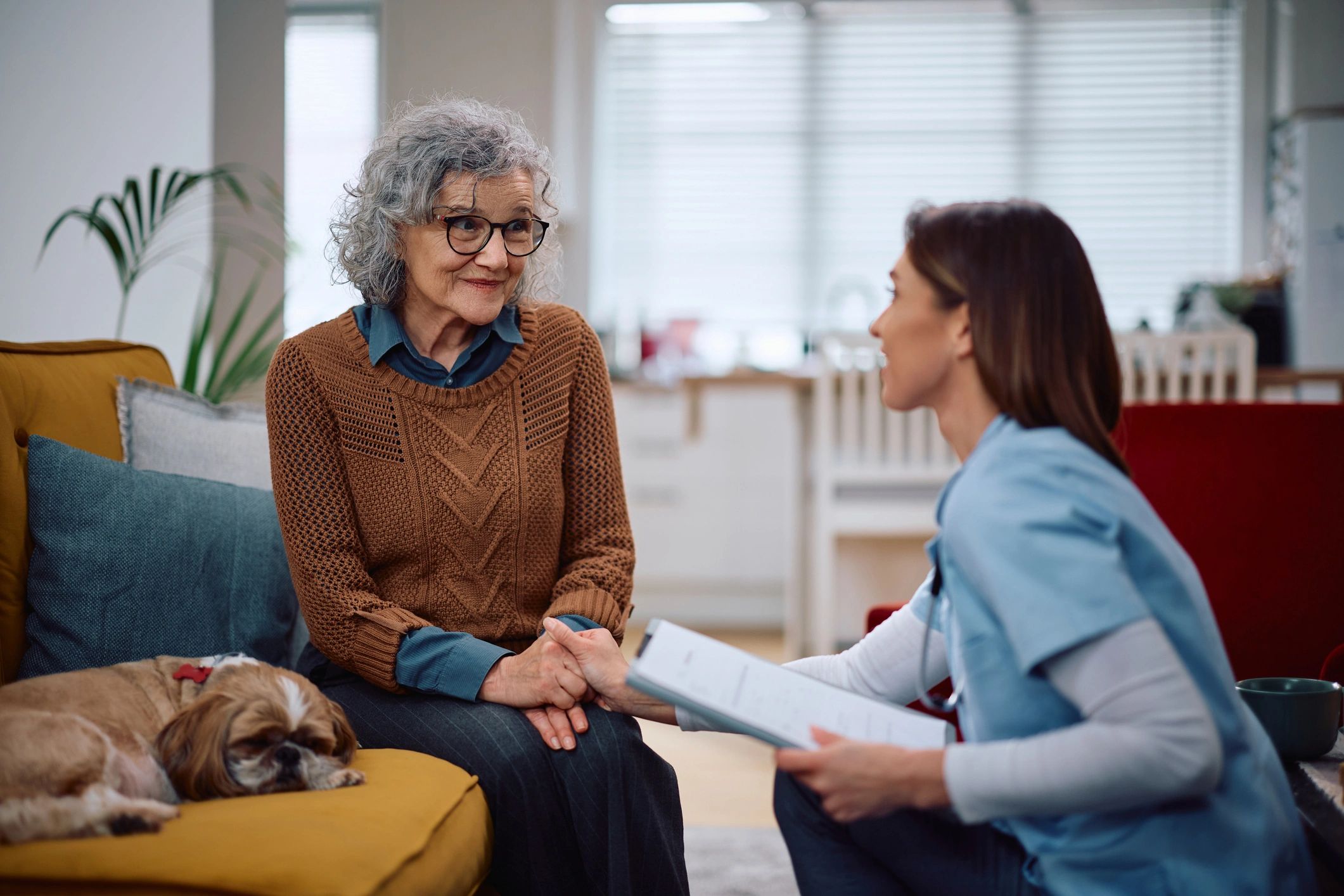 home healthcare visit senior patient